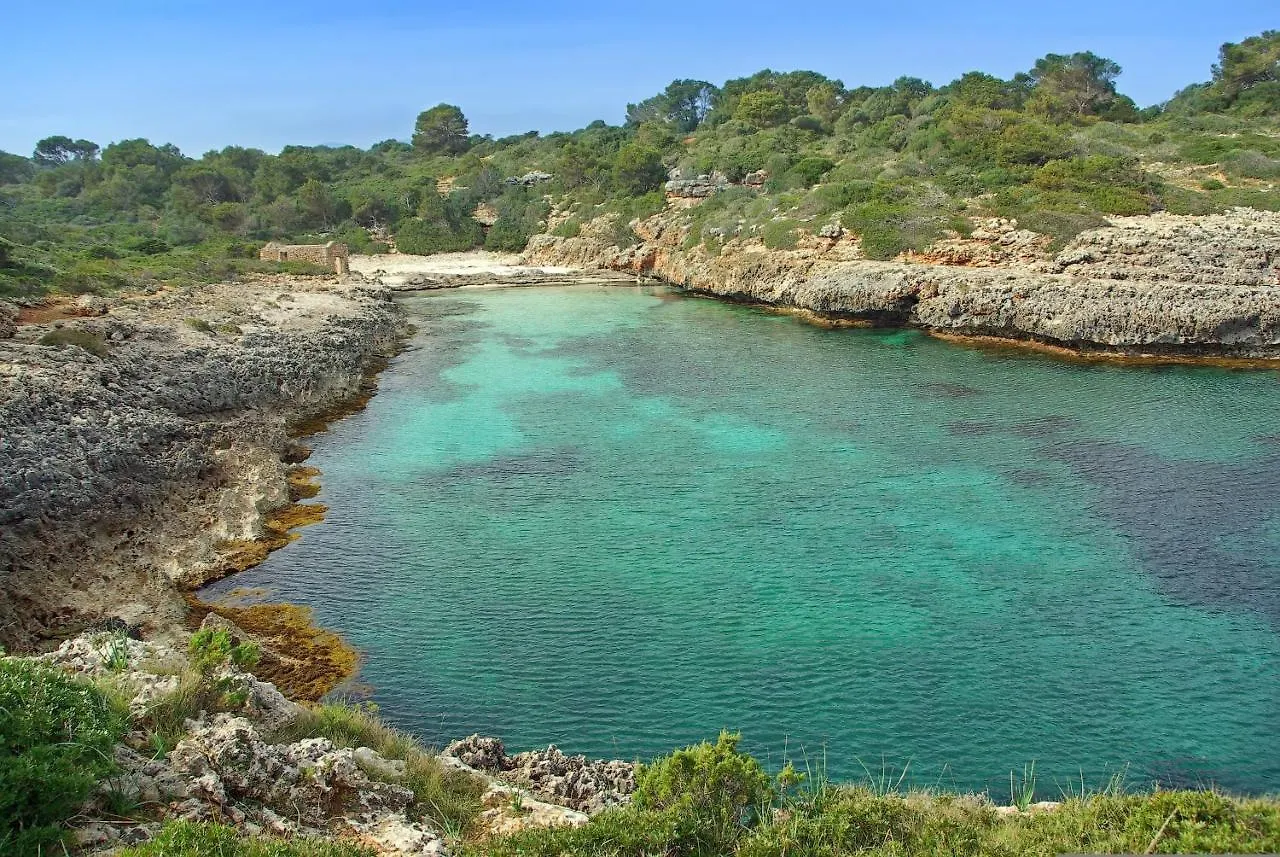 Kır Evi Pine Tree Finca Espiga Cala D´Or İspanya