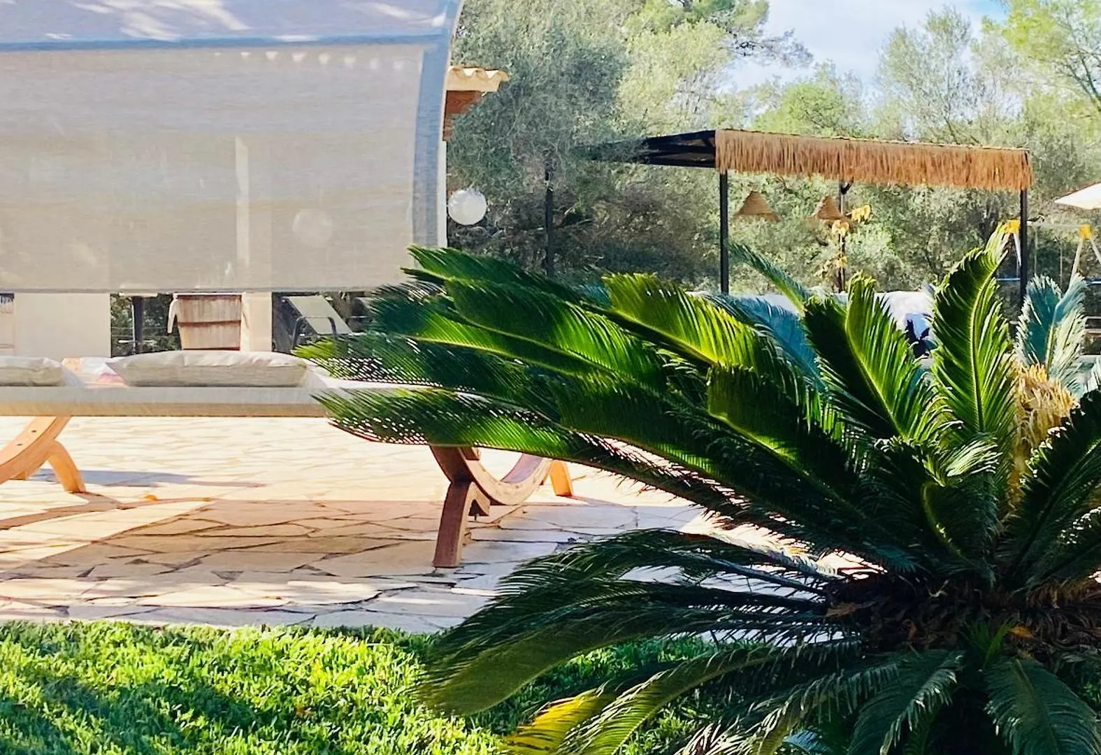 Pine Tree Finca Espiga Cala D´Or İspanya